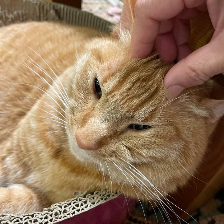 99b9261b 6869 4beb 8ae5 7084bcb9669c 1718176560021