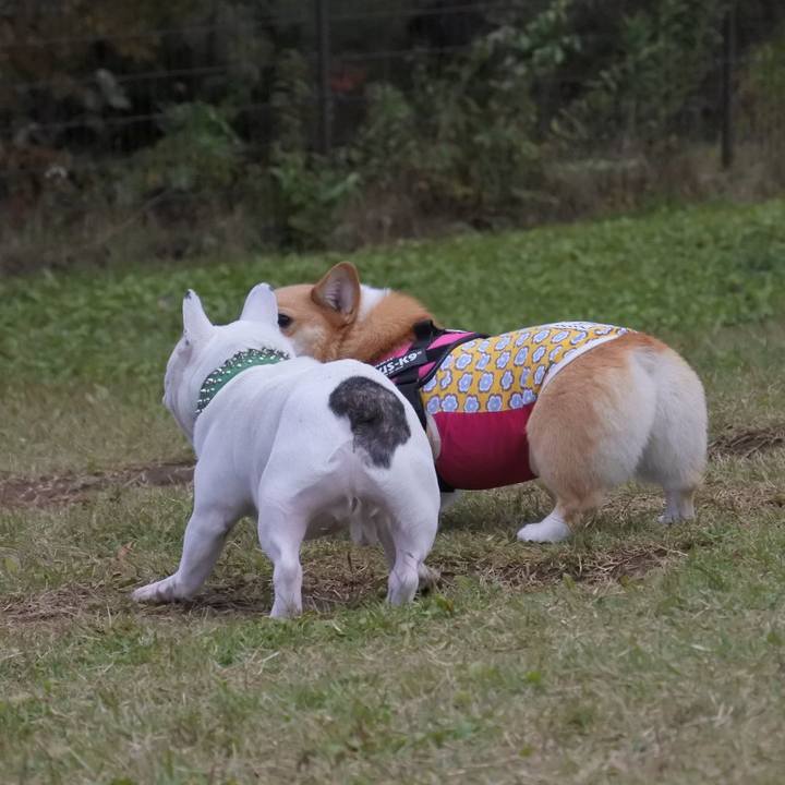 99b97c43 a624 4e80 b1ba fde4f7fa1944 1602976136144