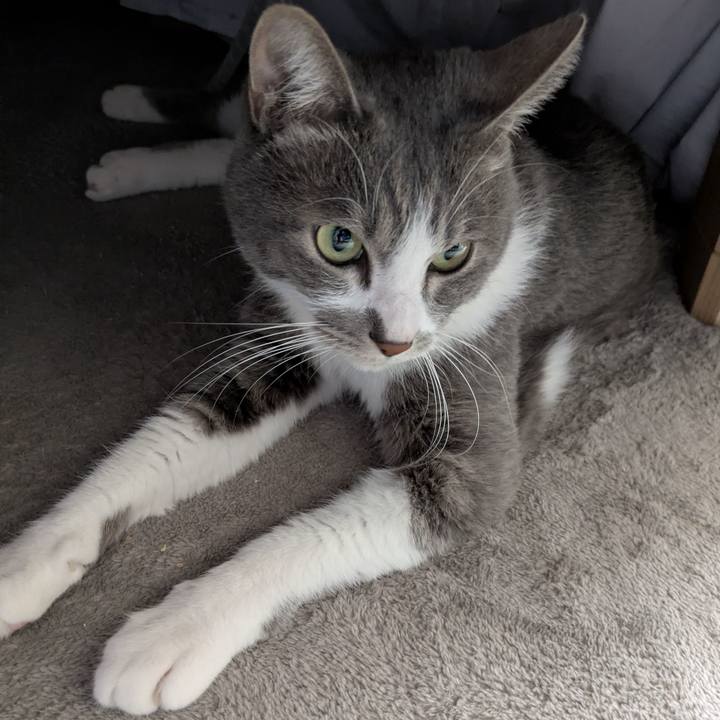 99b97df4 a493 40db 8c66 8bbd708fec05 1763964672915