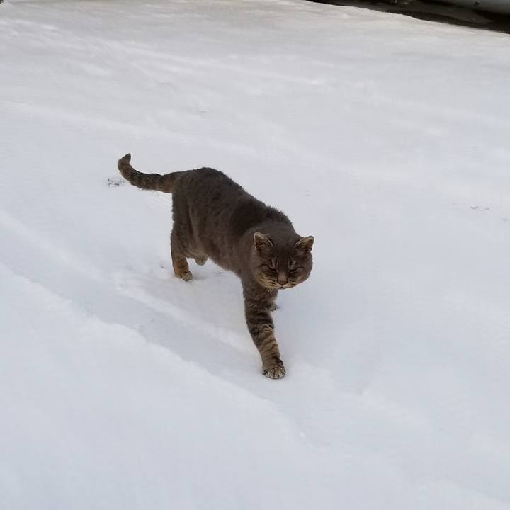 99b9818c 9ac8 47de af3a 62ba50e78f45 1513928240766