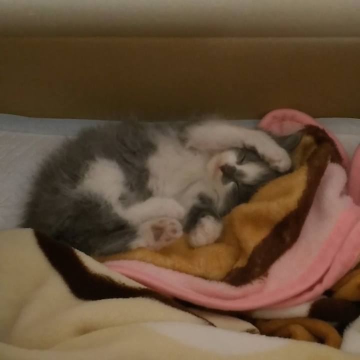 99b98cca 47c6 4dc3 beeb 98ffb0ffcffd 1558317275354