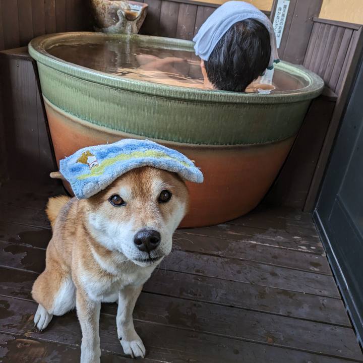 99b98f3a 4c78 4650 8b5e 11d61e028d08 1710774361222