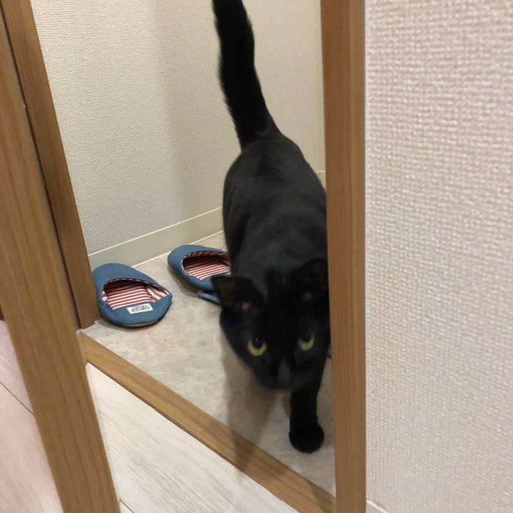 99b99d73 8b6f 44d8 8875 98f35132bfe3 1509583860407