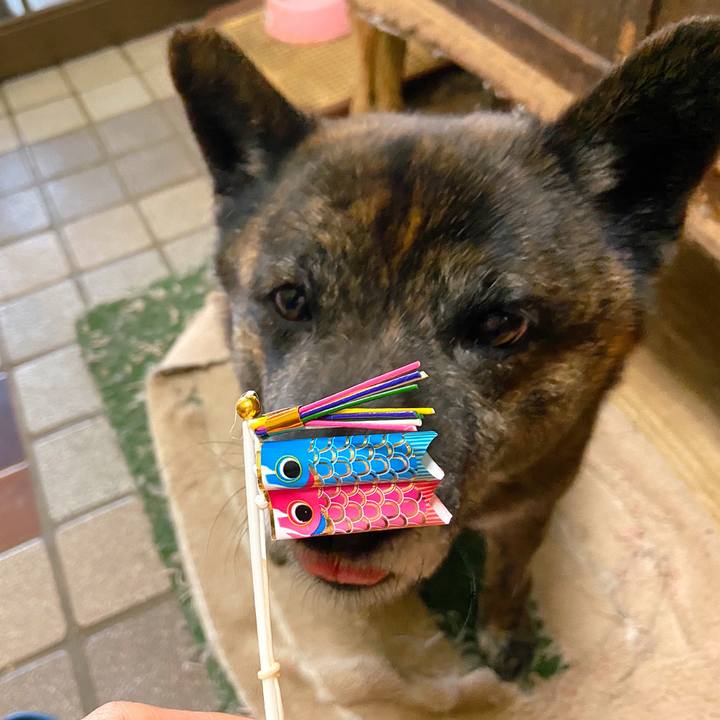 99b9a001 b5a0 43fe 90c6 4e16916b67b5 1588738668758