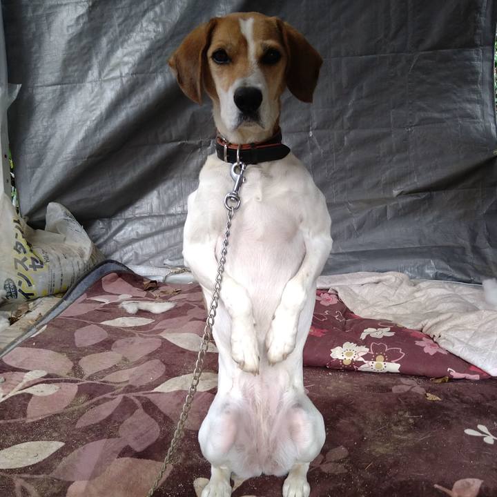 99b9b7c8 ff3d 4705 b192 fb0a4e667e5b 1643554579467