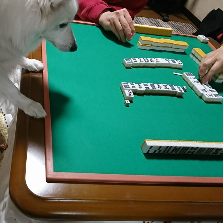 99b9e1bf 7c11 4156 9caf 8eca8195b90c 1514722281087