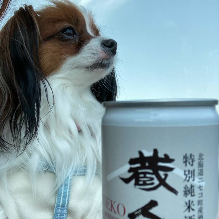 99b9f7e7 ed56 47e6 8c35 975233c39d57 1651827484790