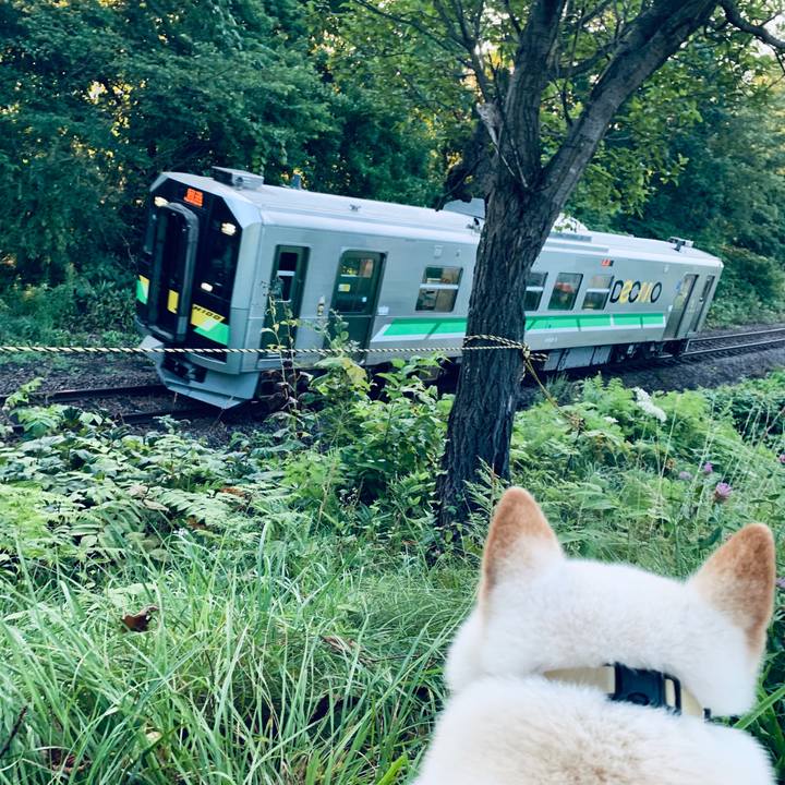 99ba0b4b be35 4d06 b3c5 3079d813c199 1597007977702