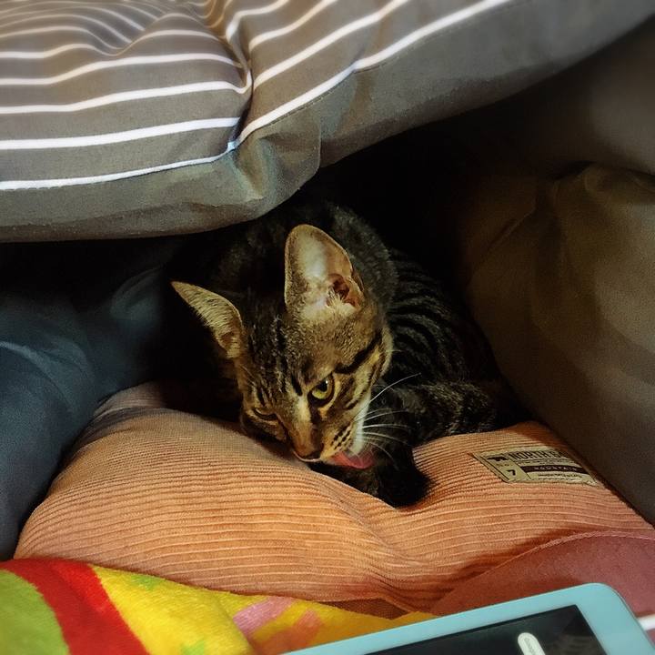 99ba2306 cc75 4c55 a505 9558762cdf53 1542175973249