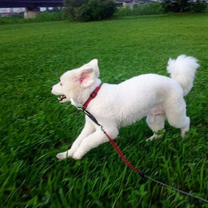 99bad6f3 bab1 4da8 b6bd 4c7b8816bf4d 1690586451401