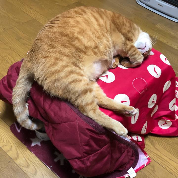 99baec14 3a57 4338 b5b2 a966dae564ea 1644489548499