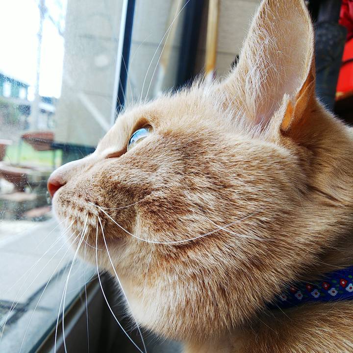 99baf232 9cba 4e46 be5e d99359ee95e1 1587548745462