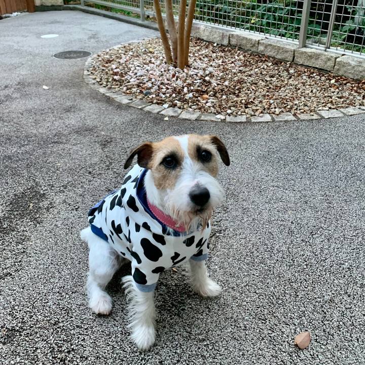 99baf2a1 4b3b 473f b6be 566c4d03c56b 1607857095629