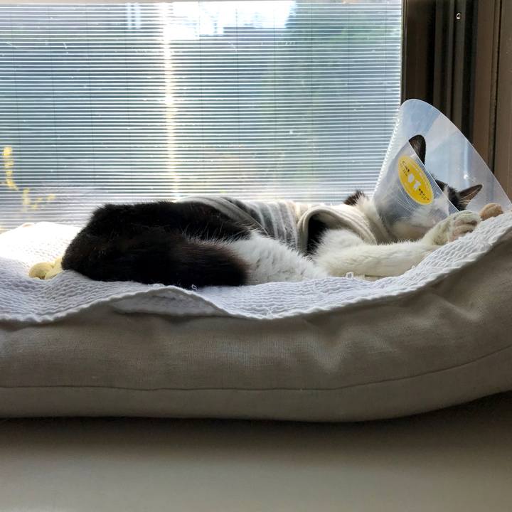 99bb02a5 82cf 46d5 897e 39aa07e8e751 1585795105455