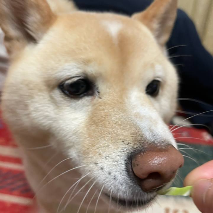 99bb0b83 9f27 4426 ba8a affd35dbdfab 1738750792189