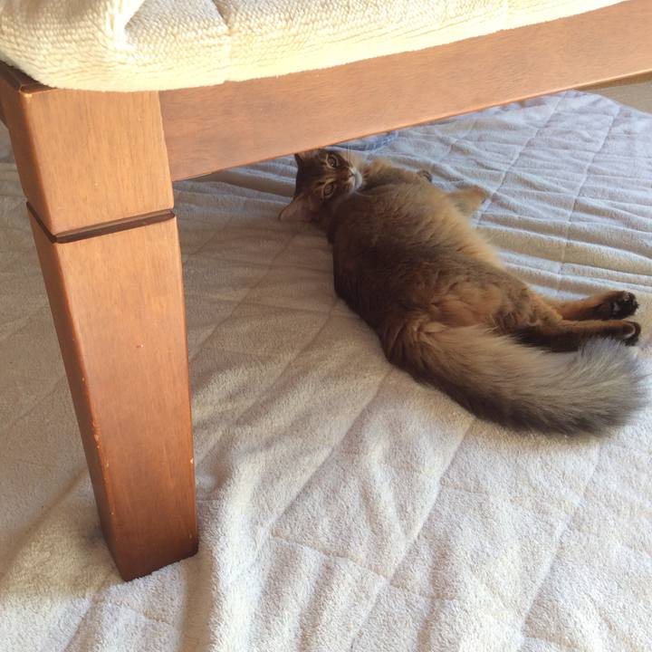 99bb1bf4 e9e8 4fe8 8105 e1664b090845 1576460177965