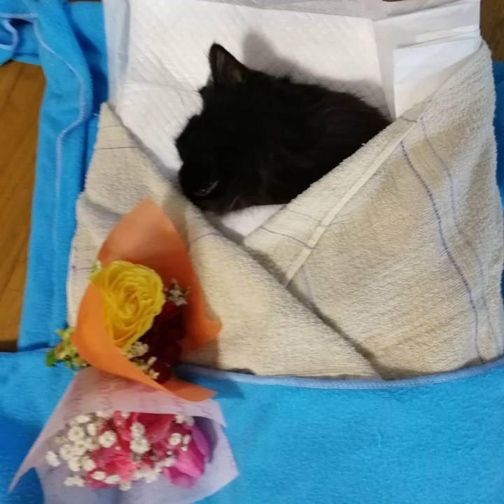 99bb51cd 5c55 4658 b453 e6f8104e05f1 1547356740483