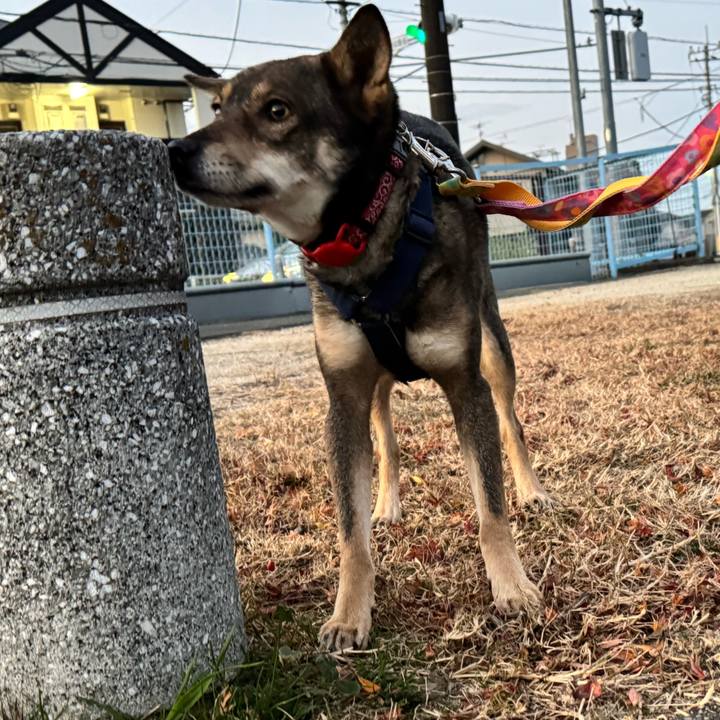 99bba2d4 ca01 4ed7 b4f8 0679f7d4eb28 1765595673981