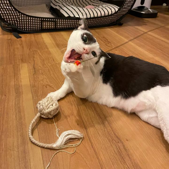 99bbab0e e00c 4eb5 af80 5d8cfcba6fec 1652195318452