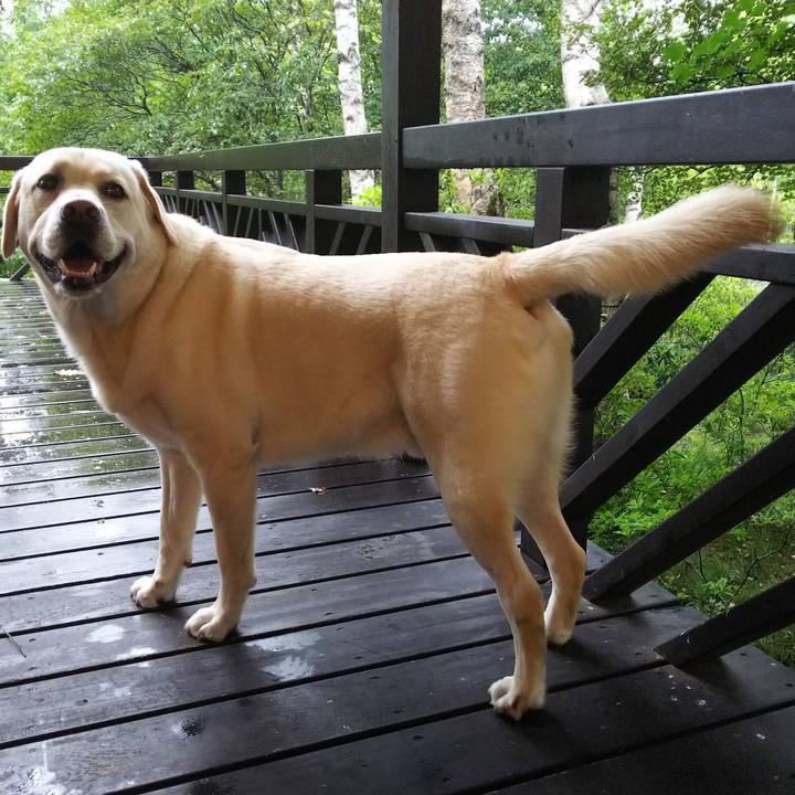 99bbbbab 5648 4cb5 abf6 80f7776463c7 1565916166418