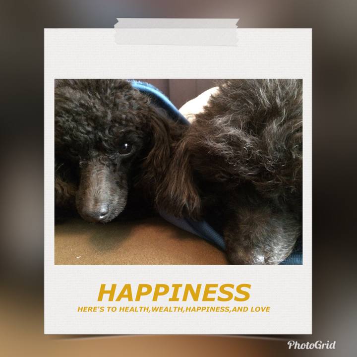 99bc2d5b a35e 42b9 9b6d 7362a25cd920 1546646996325