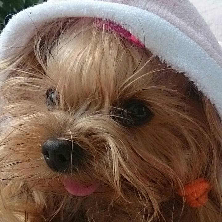 99bc559c 1c8e 4236 bacb 65aa162bee75 1544244818716