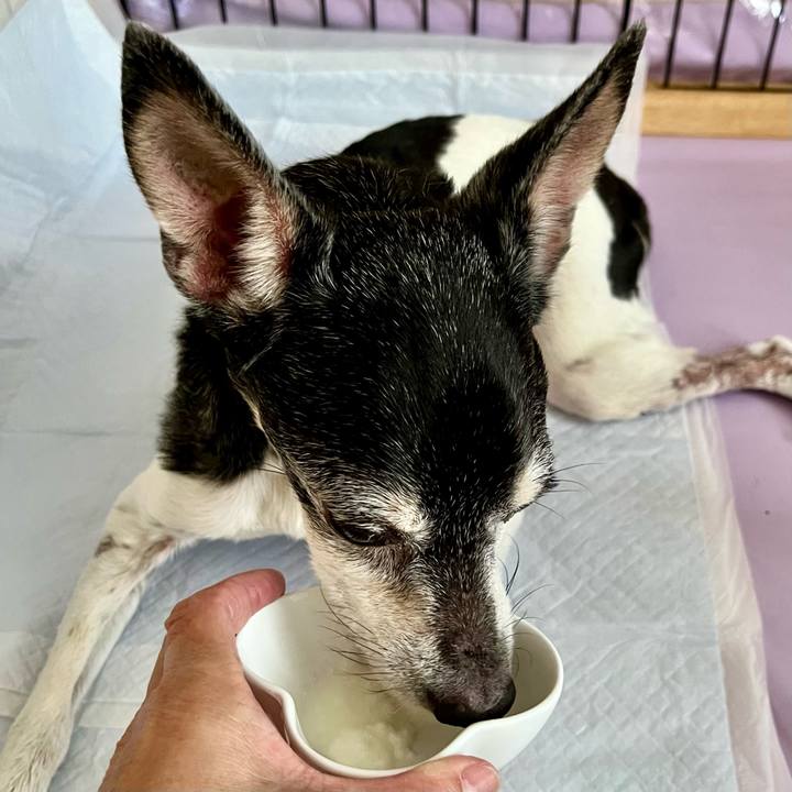 99bc7273 9c88 4412 940b b49f1234d8fd 1658789264270