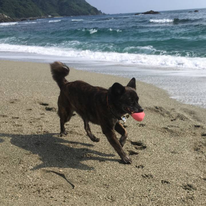 99bc762e 2085 4433 8f45 7e0ec841110f 1530792525130