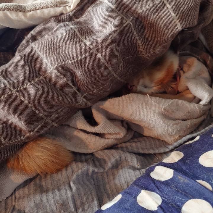 99bc7b28 bbb9 4fd5 8e6c fa252ea31ed2 1772583275946