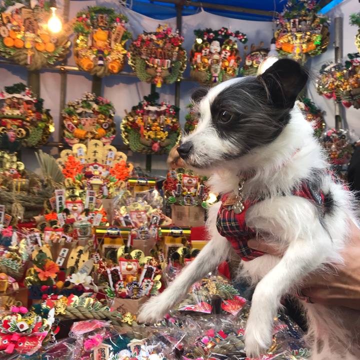 99bc82a0 e2ff 47d3 9f73 af57a280678a 1543132451426