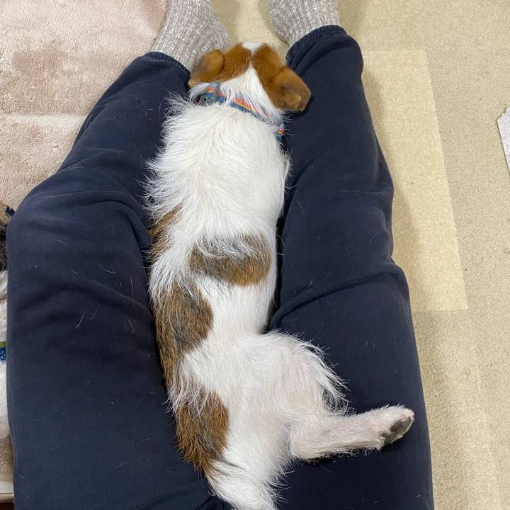 99bc90f0 8b84 4053 9455 9e78f37df52f 1701807582657