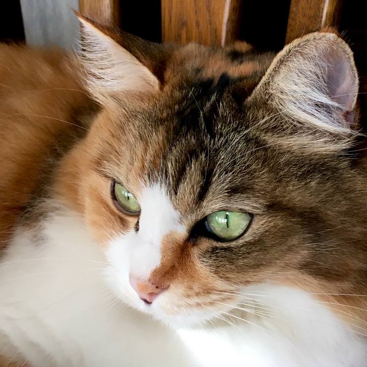 99bcae54 2fb5 43e1 a757 a854913937fe 1571114305679