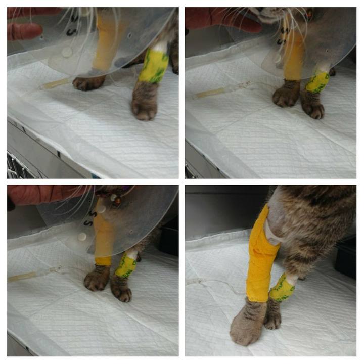 99bce4e4 a559 47e0 b2eb 53b587ed5d84 1586070328170