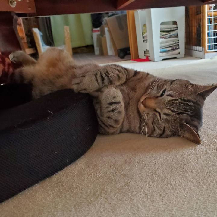 99bd056b b04b 463b aa5c c9465a7b696a 1708090156090