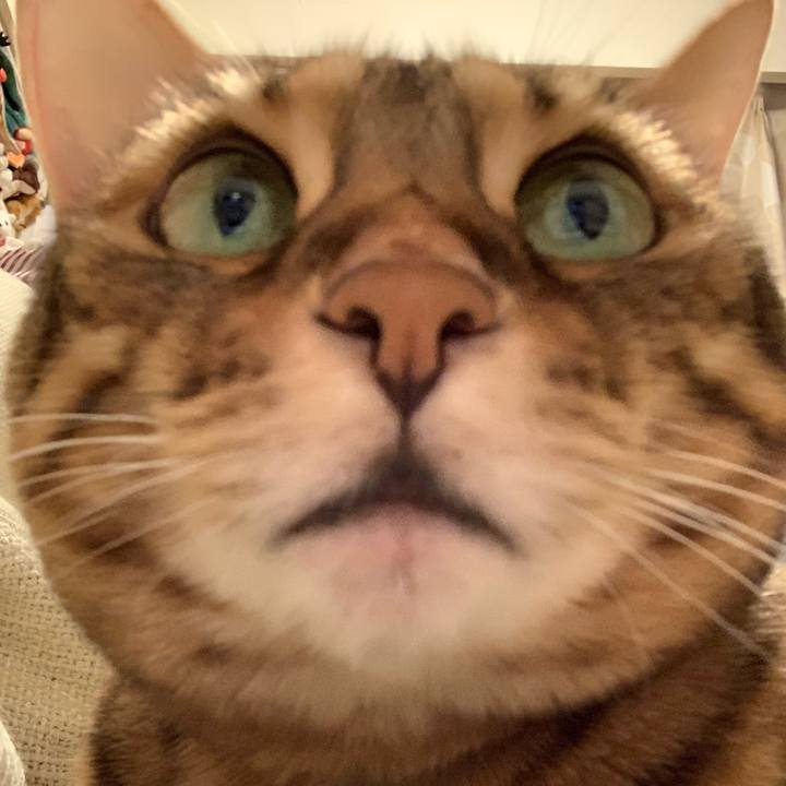 99bd0f28 f59a 4981 9243 c65677c656c8 1603500781438