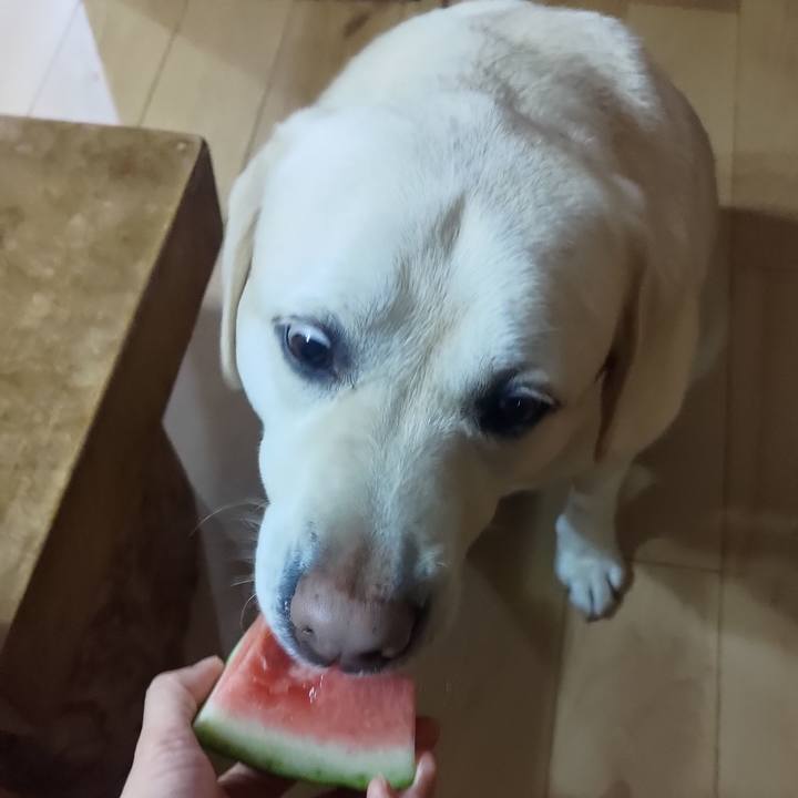 99bd1ff8 c7dc 4ccc 9d93 6be0c9bba0b5 1682080273605