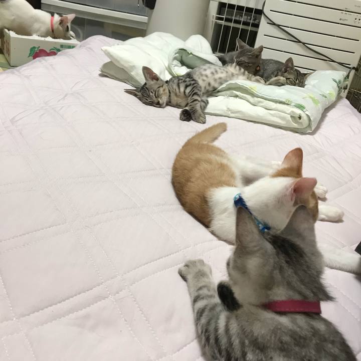 99bd37f2 6f9f 48f6 ad5b 19aaefeaf316 1563928613979