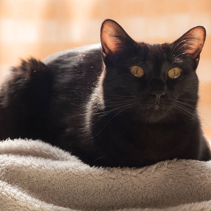 99bd7a51 f992 443a afd4 bc07f733be03 1549861924195