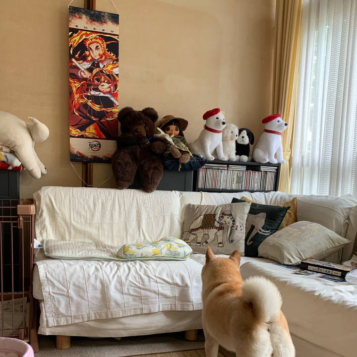 99bd7e71 9d85 435b b42d 14cf16adb38c 1623993666739