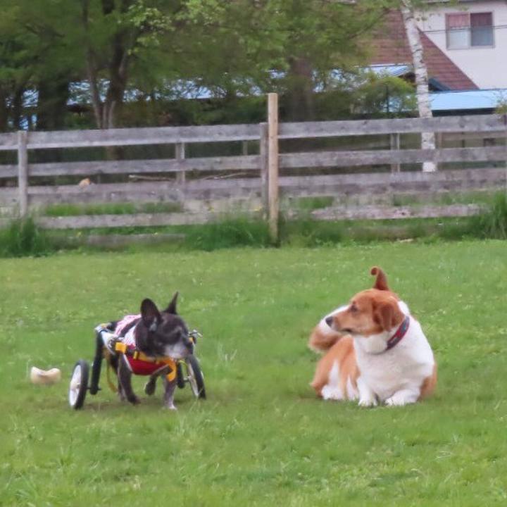 99bdaf54 091c 46b4 a2c9 6d97eec49786 1652106351095