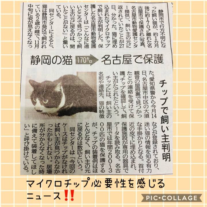 99bdcd75 e14c 4acc ab3f d21ed2da403d 1545983424347