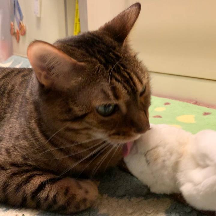 99be3373 2de5 4971 925f ecd570243dbe 1583882256623