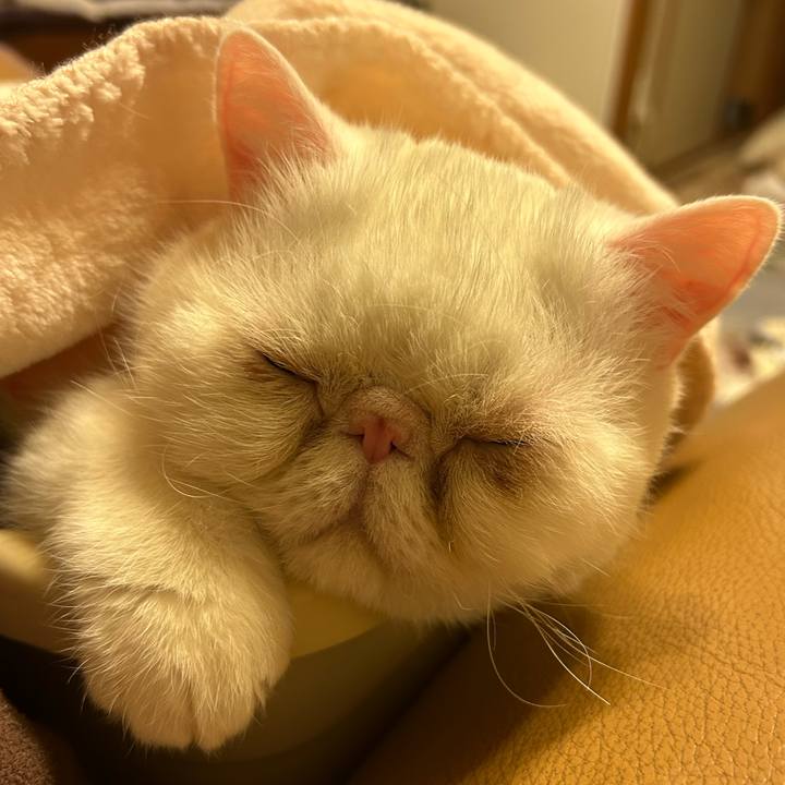 99be33b6 de3c 4a14 8658 a585c55c5682 1709294779000