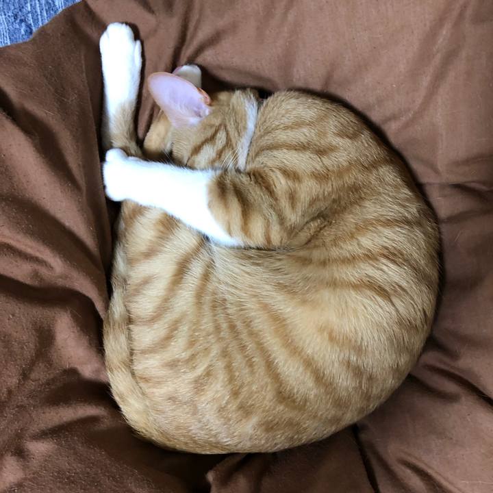 99be4a64 0326 44cb a67e 4a0808e5a5e6 1569216796321