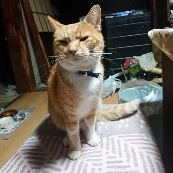 99be57eb 613e 410e a6ce 6b1becd9ecc7 1602791464893