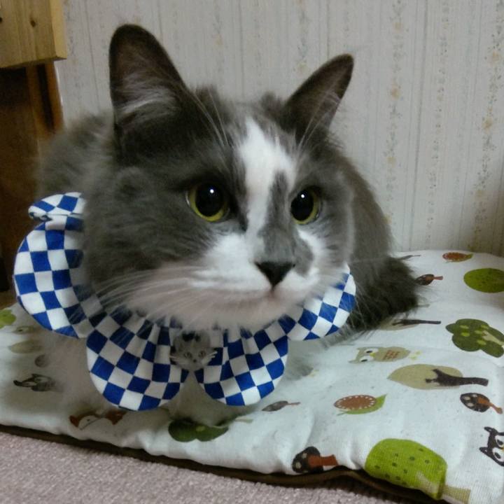 99be7168 08fd 4148 a483 52dd329bafb4 1617274976641