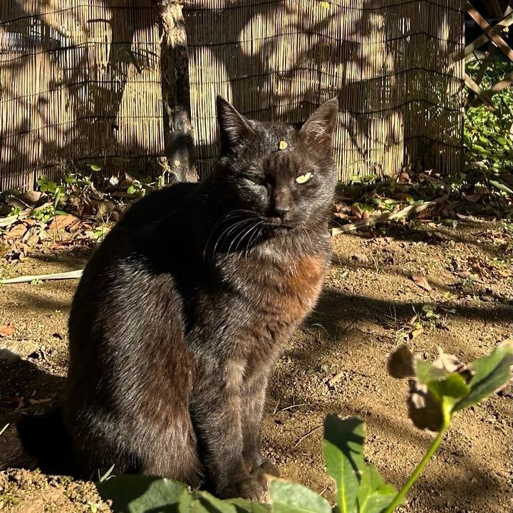 99bed75b a20f 472b 9813 1c4dc596a095 1736166409426