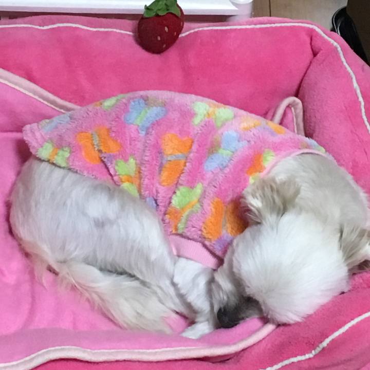 99bee126 b631 4b0e 8098 72e0be2cd254 1512436689476