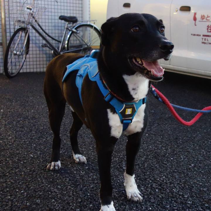 99bf044c e835 43dc a28d 4f99e70255c9 1631270155146