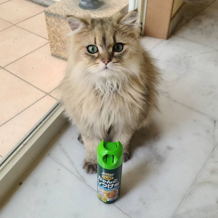 99bf1bdd ea63 4519 b529 734e6ef9eba4 1621917321551